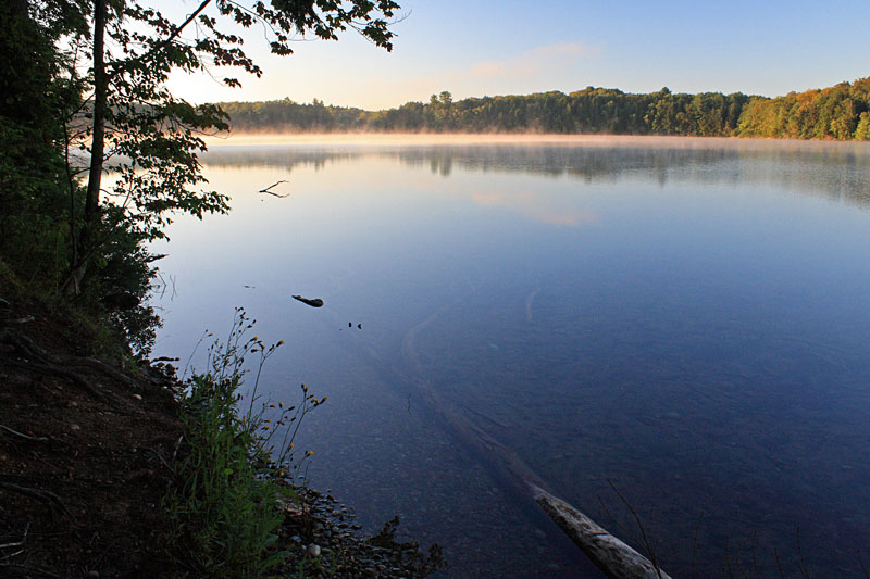 misty morning over petes lake